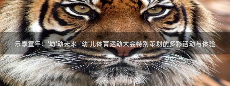 77体育：乐享童年：\'幼\'动未来-\'幼\'儿体育运动大会特别策划的多彩活动与体验