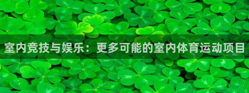 77体育官网：室内竞技与娱乐：更多可能的室内体育运动项目