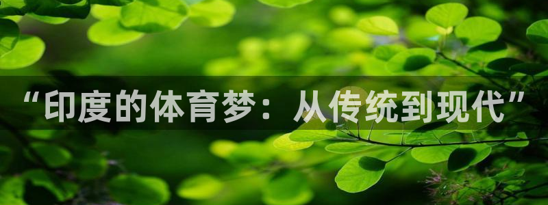77体育官网