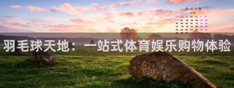 77体育app下载官网
