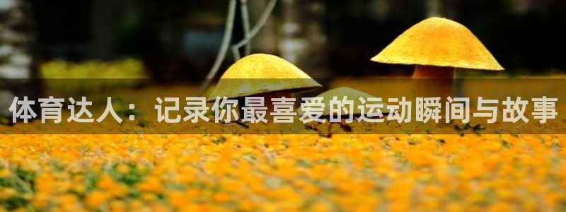 77体育app下载官网