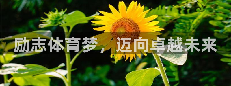 皇冠277体育