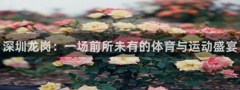 皇冠277体育