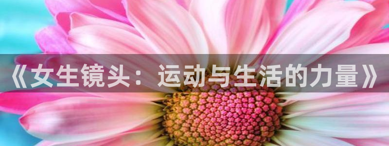 77体育app下载官网