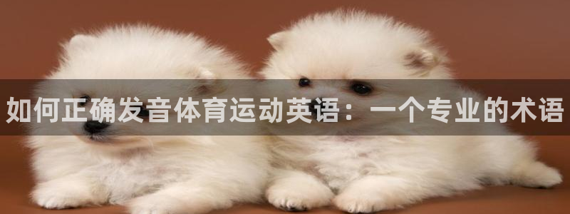 77体育官网