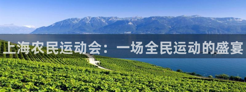 77体育app下载官网