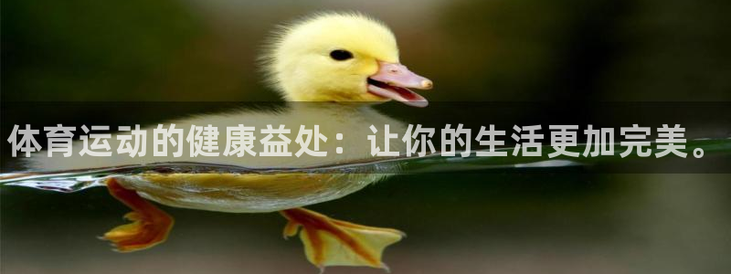 77体育官网