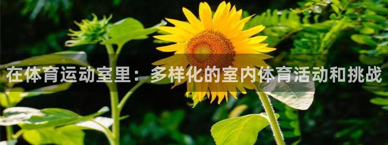 77体育app下载官网