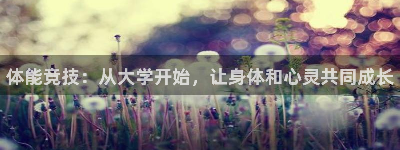 77体育官网