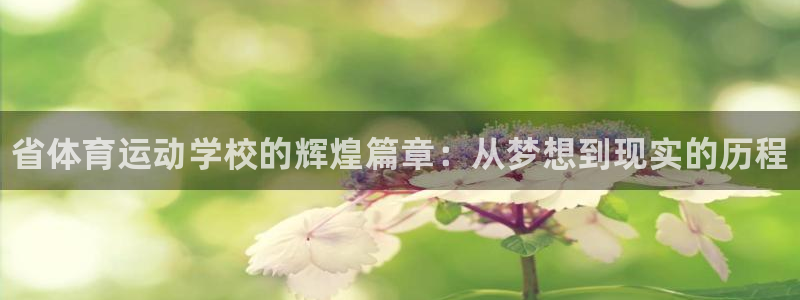 77体育官网：省体育运动学校的辉煌篇章：从梦想到现实的历程